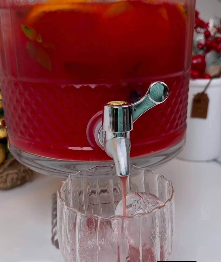 our-watermelon-punch-is-ready-to-taste