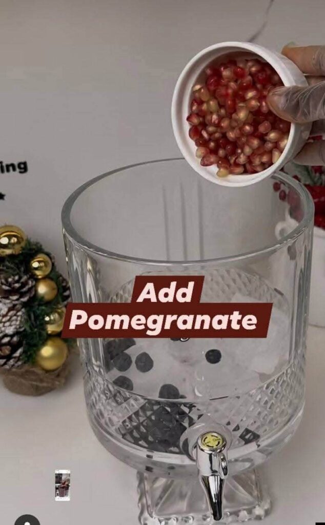 adding-pomegranate-to-the-blender