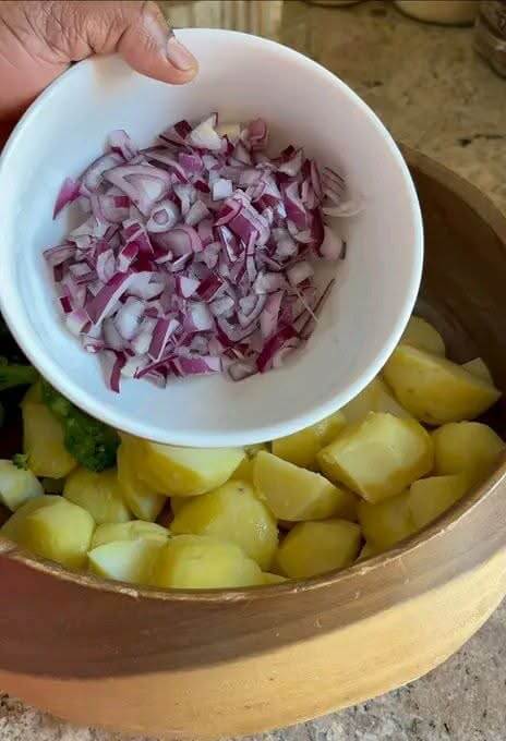 onions-in-a-bowl