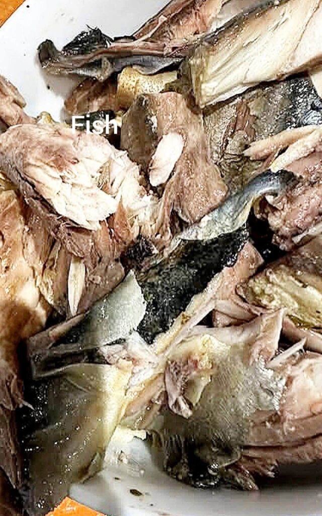 meshed-fish-in-the-plate